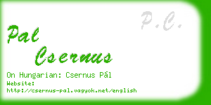 pal csernus business card